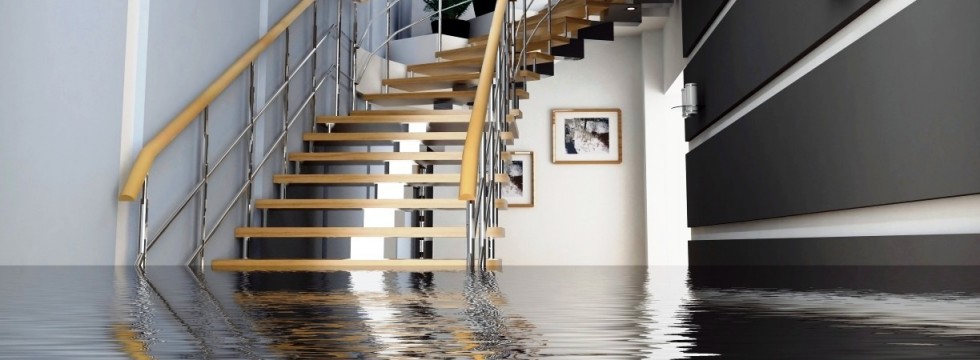 Water damage cleaning